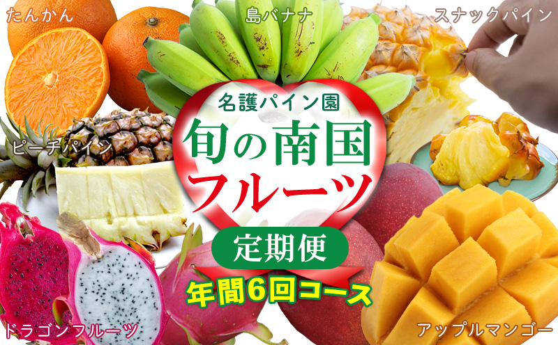 【名護パイン園】旬の南国フルーツ定期便（6回コース） 沖縄 産地直送 期間限定 南国フルーツ 果物 パッションフルーツ スナックパイン アップルマンゴー マンゴー バナナ 毎月お届け お取り寄せ 旬のフルーツ 人気 おすすめ 贈答品 プレゼント 贈り物 ギフト セット