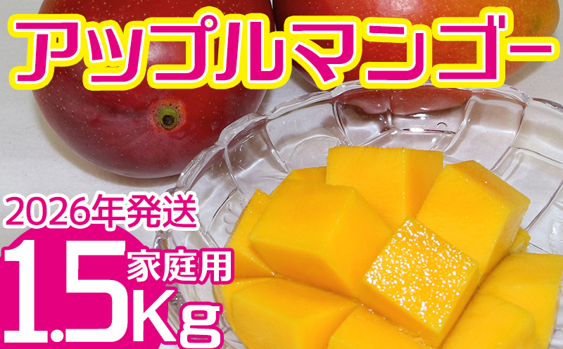 【2026年発送】　ご家庭で美味しく！アップルマンゴー約1.5kg【つは農園】 フルーツ 果物 期間限定 数量限定 先行予約 南国 プレゼント お土産 おみやげ ギフト くだもの 季節 おきなわ 青果 デザート おすすめ 人気 冷蔵 夏 スイーツ