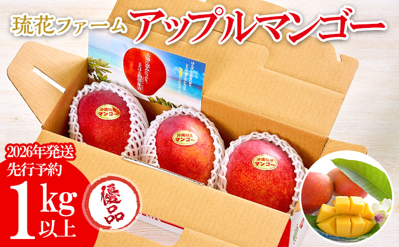 【2026年発送先行予約】アップルマンゴー優品1kg以上 沖縄 おきなわ まんごー 優品 家庭用 先行予約 ふるさと納税 送料無料 甘味 糖度 おいしい お土産 アーウィン 果物 くだもの 果実 1キロ 箱入り 食べ物 フルーツ