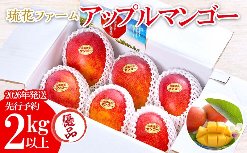 【2026年発送先行予約】アップルマンゴー優品2kg以上 沖縄 おきなわ まんごー 優品 家庭用 先行予約 ふるさと納税 送料無料 甘味 糖度 おいしい お土産 アーウィン 果物 くだもの 果実 2キロ 箱入り 食べ物 フルーツ