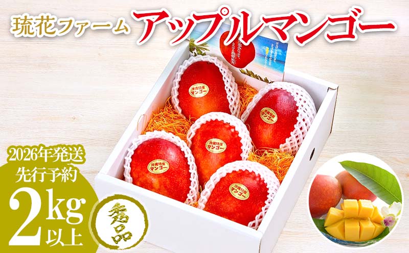 【2026年発送先行予約】アップルマンゴー秀品２kg以上 沖縄 おきなわ まんごー 秀品 贈答用 先行予約 ふるさと納税 送料無料 甘味 糖度 おいしい お土産 アーウィン 果物 くだもの 果実 ２キロ 箱入り 食べ物 フルーツ