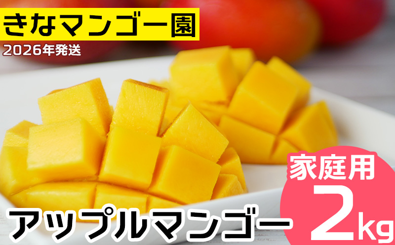 2026年発送【きなマンゴー園】アップルマンゴー　家庭用2kg以上 先行予約 完熟 マンゴー アップル 南国 沖縄 フルーツ くだもの 果物 果実 先行予約 産地直送 贅沢 濃厚 スイーツ デザート 旬の果物 ご家庭用 ご自宅用 国産 冷蔵