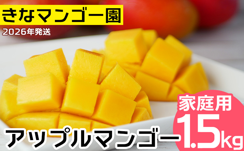 2026年発送【きなマンゴー園】アップルマンゴー　家庭用1.5kg以上 先行予約 完熟 マンゴー アップル 南国 沖縄 フルーツ くだもの 果物 果実 先行予約 産地直送 贅沢 濃厚 スイーツ デザート 旬の果物 ご家庭用 ご自宅用 国産 冷蔵