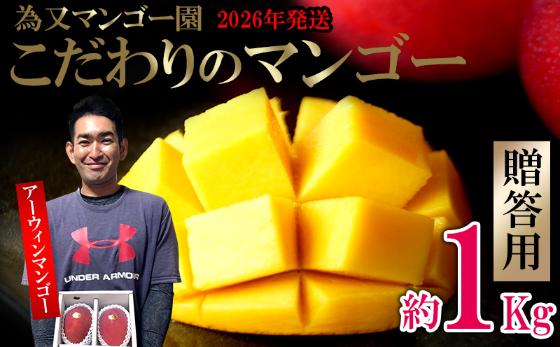 【2026年発送】為又マンゴー園　贈答用　こだわりのマンゴー　約1kg フルーツ 果物 期間限定 数量限定 マンゴー ギフト おみやげ お土産 プレゼント 南国 デザート 青果 おきなわ 沖縄 くだもの おすすめ 人気 冷蔵 夏 スイーツ
