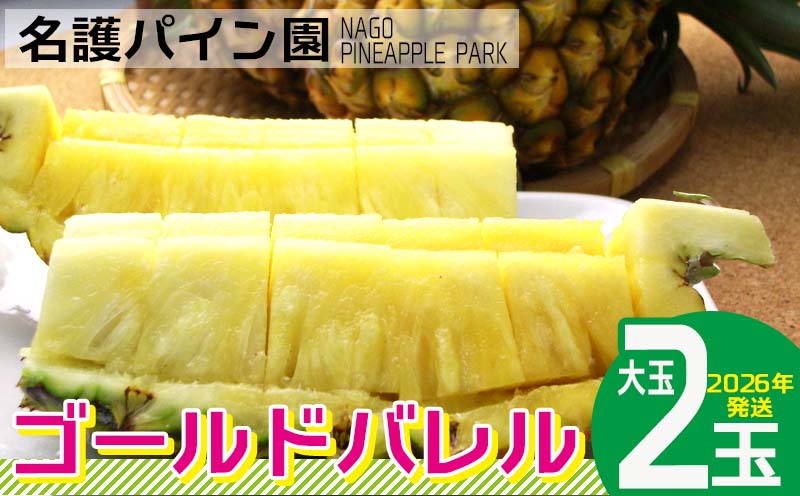 2026年発送【名護パイン園】　ゴールドバレル（大玉2玉） 先行予約　 パインアップル パイナップル 期間限定 数量限定 フルーツ くだもの 果物 贈答 贈り物 プレゼント 人気 おすすめ 南国 お土産 ギフト デザート 青果 沖縄 おきなわ 年末