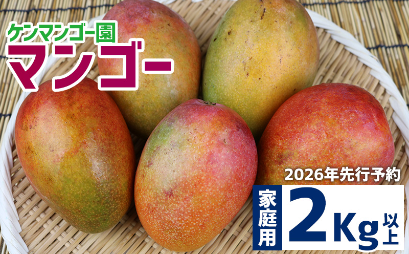 【2026年発送】【ケンマンゴー園】　家庭用マンゴー　2kg以上 完熟 マンゴー アップル 南国 沖縄 フルーツ くだもの 果物 果実 先行予約 産地直送 贅沢 濃厚 スイーツ デザート 旬の果物 ご自宅用 ご家庭用 国産 冷蔵