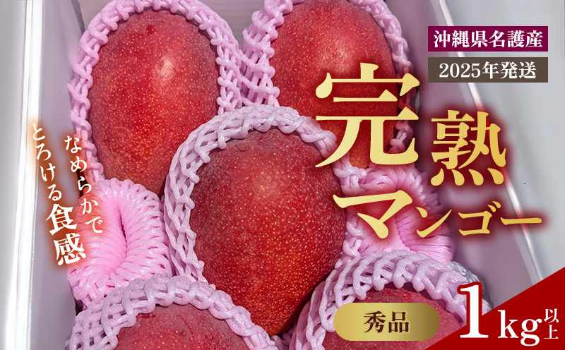 【2025年 先行予約】とろける完熟マンゴー 秀品 1kg以上 秀品 先行予約 沖縄 甘味 糖度 濃厚 おいしい お土産 まんごー アーウィン ギフト プレゼント 果実 くだもの 果物 ふるさと納税 送料無料 ふるさと納税 名護市 フルーツ