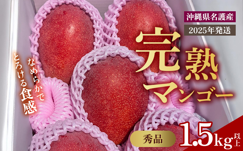 【2025年 先行予約】とろける完熟マンゴー 秀品 1.5kg以上 生産者直送 秀品 先行予約 沖縄 甘味 糖度 濃厚 おいしい お土産 まんごー アーウィン ギフト プレゼント 果実 くだもの 果物 ふるさと納税 送料無料 トロピカル 名護市 フルーツ