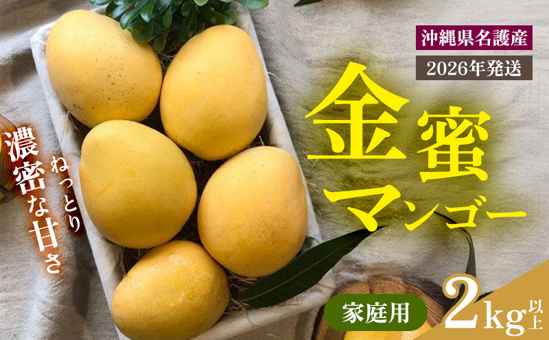 【2026年 先行予約 数量限定】金蜜マンゴー 家庭用 2kg以上 家庭用 先行予約 沖縄 甘味 糖度 濃厚 おいしい お土産 まんごー きんみつ ギフト プレゼント 果実 くだもの 果物 ふるさと納税 送料無料 トロピカル 名護市 フルーツ