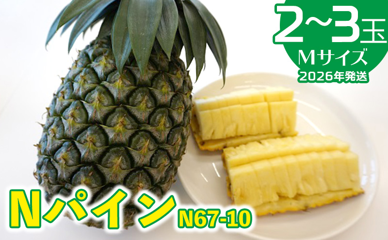 2026年発送【羽地の駅】Nパイン(N67-10)2～3玉（Mサイズ）2.5kg以上 沖縄 おきなわ 国産 県産 フルーツ 厳選 こだわり とろける くだもの あまい 魅力 お土産 N67-10 果物 取り寄せ ご当地 やんばる 南国 トロピカル 夏