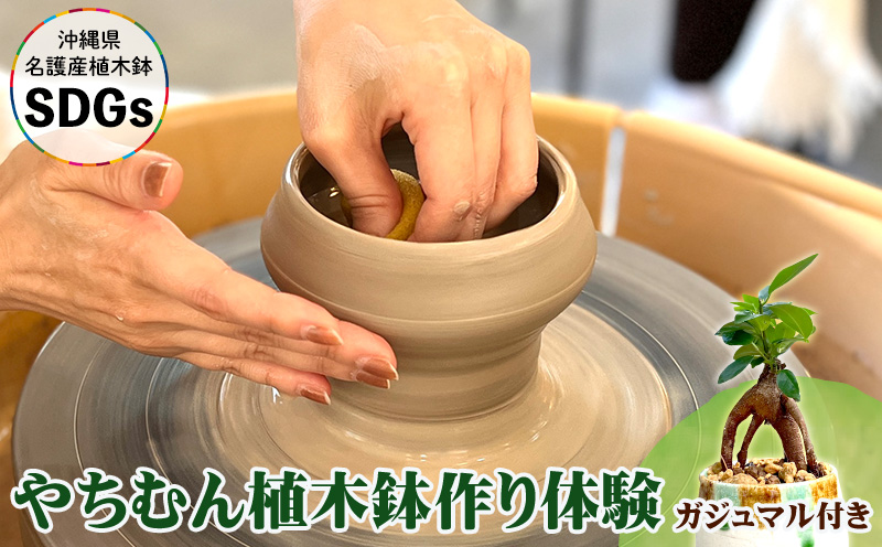 やちむん植木鉢作り体験 ガジュマル付き【SDGｓ】 やちむん 焼き物 陶芸 ガジュマル 植木鉢 体験 伝統 工芸 植物 鑑賞用 観葉植物 インテリア  初心者 ふるさと納税 おきなわ 沖縄 オキナワ 名護 ナゴ 国産: 名護市ANAのふるさと納税