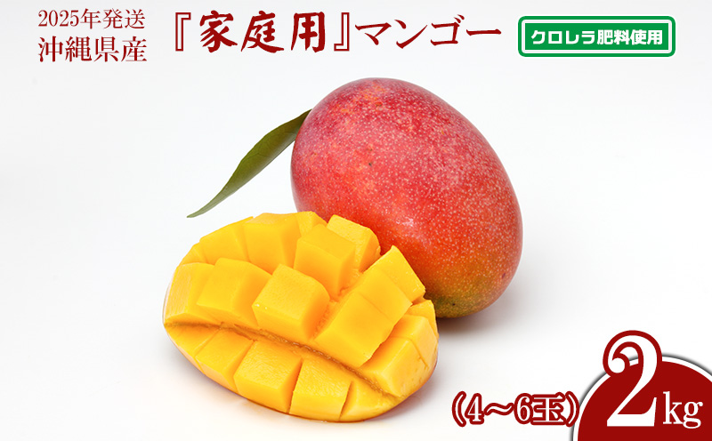2025年発送【中山マンゴー園】沖縄県産【クロレラ肥料使用】家庭用マンゴー2kg以上（4～6玉） 先行予約 完熟 マンゴー アップル 南国 沖縄 フルーツ くだもの 果物 果実 先行予約 産地直送 贅沢 濃厚 スイーツ デザート 旬の果物 ご家庭用 ご自宅用 国産 冷蔵