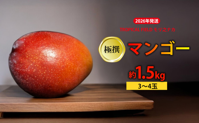 2026年発送【TROPICAL FIELD モリ之ナカ】極撰マンゴー　約1.5kg（3～4玉） フルーツ 果物 期間限定 数量限定 先行予約 南国 プレゼント お土産 おみやげ ギフト くだもの 沖縄 おきなわ 青果 デザート おすすめ 人気 冷蔵 夏 スイーツ
