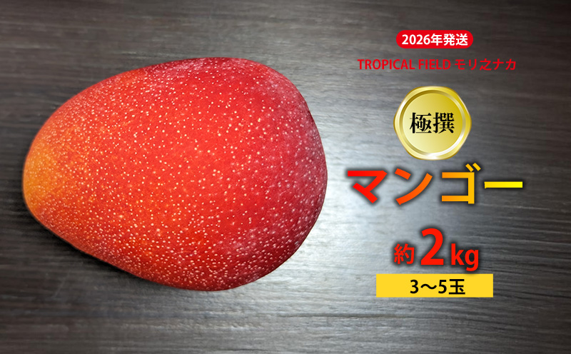 2026年発送【TROPICAL FIELD モリ之ナカ】極撰マンゴー約2kg（3～5玉） フルーツ 果物 期間限定 数量限定 先行予約 南国 プレゼント お土産 おみやげ ギフト くだもの 沖縄 おきなわ 青果 デザート おすすめ 人気 冷蔵 夏 スイーツ