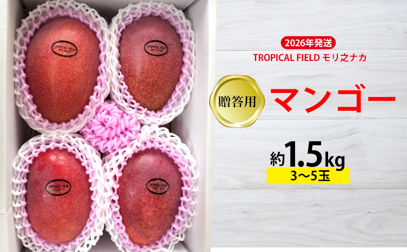 2026年発送【TROPICAL FIELD モリ之ナカ】贈答用マンゴー約1.5kg（3～5玉） フルーツ 果物 期間限定 数量限定 先行予約 南国 プレゼント お土産 おみやげ ギフト くだもの 沖縄 おきなわ 青果 デザート おすすめ 人気 冷蔵 夏 スイーツ