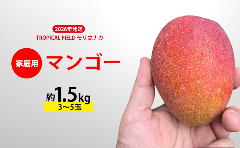 2026年発送【TROPICAL FIELD モリ之ナカ】家庭用マンゴー約1.5kg（3～5玉） フルーツ 果物 期間限定 数量限定 先行予約 南国 プレゼント お土産 おみやげ ギフト くだもの 沖縄 おきなわ 青果 デザート おすすめ 人気 冷蔵 夏 スイーツ