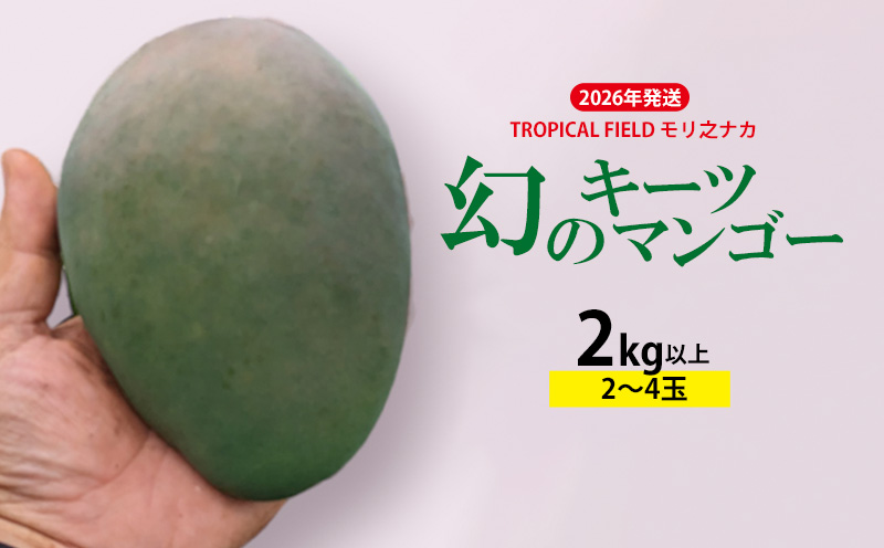 2026年発送【TROPICAL FIELD モリ之ナカ】幻のキーツマンゴー　2kg以上 フルーツ 幻 果物 期間限定 数量限定 先行予約 プレミアム 南国 プレゼント お土産 ギフト くだもの 沖縄 青果 デザート おすすめ 人気 冷蔵 夏 スイーツ