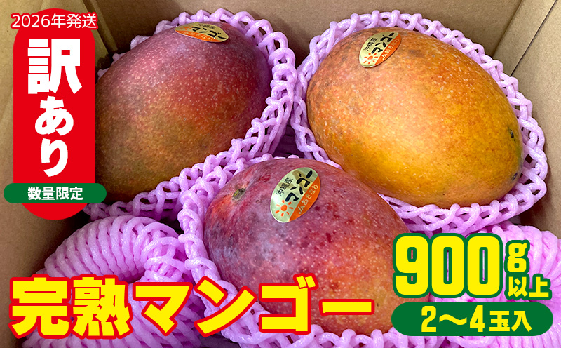【2026年発送】【訳あり品】共選完熟マンゴー900g以上（2～4玉） 訳アリ マンゴー まんごー 果物 くだもの 果実 お取り寄せ 送料無料 沖縄県産 産地直送 アーウィン 人気 自分用 甘味 県産 ご当地 やんばる ふるさと納税