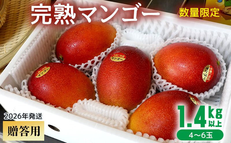 【2026年発送】【贈答用】共選完熟マンゴー1.4kg以上（4～6玉） 贈答用 マンゴー まんごー 果物 くだもの 果実 お取り寄せ ギフト 送料無料 沖縄県産 産地直送 アーウィン 人気 自分用 甘味 県産 ご当地 やんばる ふるさと納税