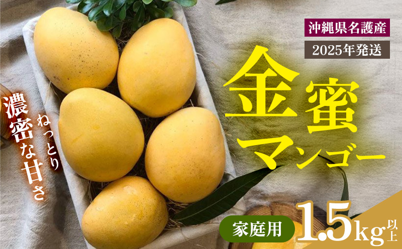【2025年 先行予約 数量限定】金蜜マンゴー 家庭用 1.5kg以上 家庭用 先行予約 沖縄 甘味 糖度 濃厚 おいしい お土産 まんごー きんみつ ギフト プレゼント 果実 くだもの 果物 ふるさと納税 送料無料 トロピカル 名護市 フルーツ