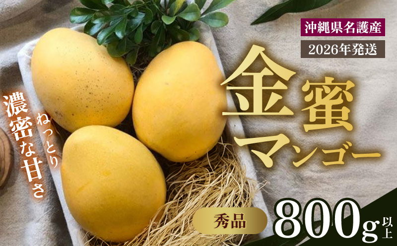 【2026年 先行予約 数量限定】マンゴー好きに食べてもらいたい！金蜜マンゴー 秀品800g以上 秀品 先行予約 沖縄 甘味 糖度 濃厚 おいしい お土産 まんごー きんみつ ギフト プレゼント 果実 くだもの 果物 ふるさと納税 送料無料 トロピカル 名護市 フルーツ