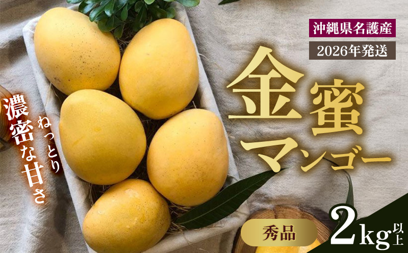 【2026年 先行予約 数量限定】マンゴー好きに食べてもらいたい！金蜜マンゴー 秀品 2kg以上 秀品 先行予約 沖縄 甘味 糖度 濃厚 おいしい お土産 まんごー きんみつ ギフト プレゼント 果実 くだもの 果物 ふるさと納税 送料無料 トロピカル 名護市 フルーツ