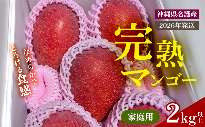 【2026年 先行予約】完熟マンゴー 家庭用 2kg以上 家庭用 先行予約 沖縄 甘味 糖度 濃厚 おいしい お土産 まんごー アーウィン ギフト プレゼント 果実 くだもの 果物 ふるさと納税 送料無料 トロピカル 名護市 フルーツ