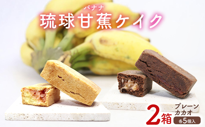 琉球甘蕉ケイク2箱（プレーン・カカオ）各5個入 沖縄 おきなわ おかし お菓子 バナナ アップルバナナ ばなな 伝統 特産品 ふるさと納税 送料無料 名護市 なご スイーツ お土産 お取り寄せ 人気 カカオ かかお