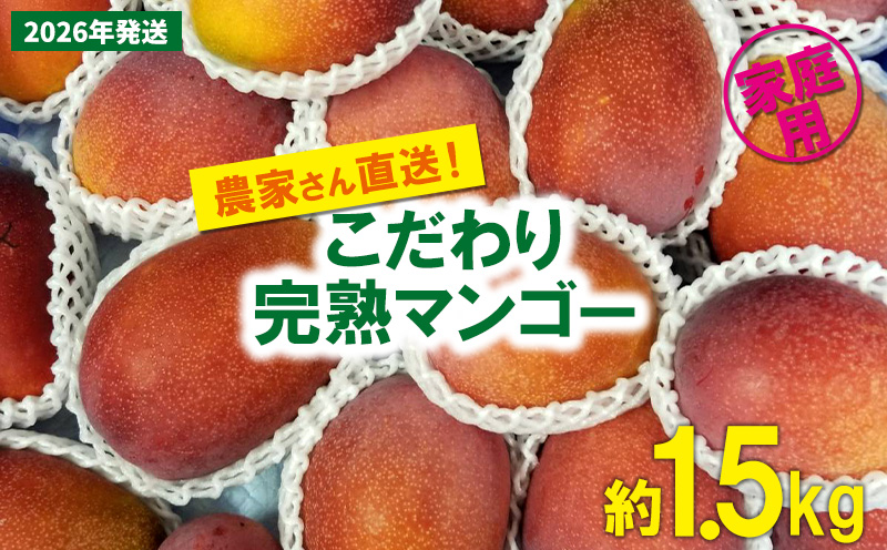 【2026年発送先行予約】こだわりのアップルマンゴー　家庭用1.5kg　ふるいっと 数量限定 名護市 沖縄 フルーツ くだもの 果物 南国 スイーツ デザート 人気 おすすめ ギフト プレゼント 期間限定 おきなわ アップルマンゴー 家庭用 贈り物 大自然 お取り寄せ