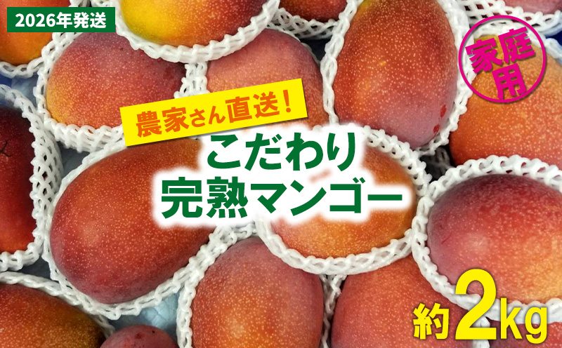 【2026年発送先行予約】こだわりのアップルマンゴー　家庭用2kg　ふるいっと 数量限定 名護市 沖縄 フルーツ くだもの 果物 南国 スイーツ デザート 人気 おすすめ ギフト プレゼント 期間限定 おきなわ アップルマンゴー 家庭用 贈り物 大自然 お取り寄せ