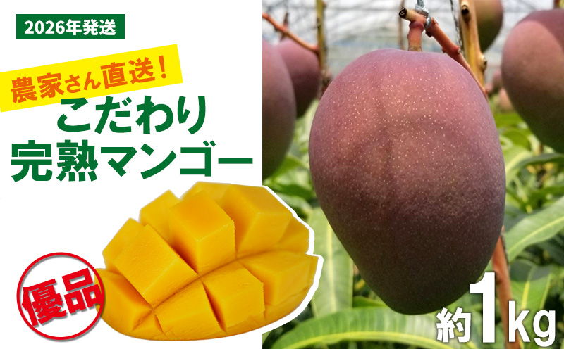 【2026年発送先行予約】こだわりのアップルマンゴー　優品1kg　ふるいっと 数量限定 名護市 沖縄 フルーツ くだもの 果物 南国 スイーツ デザート 人気 おすすめ ギフト プレゼント 期間限定 おきなわ アップルマンゴー 優品 贈り物 大自然 お取り寄せ