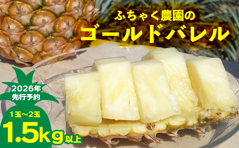 【2026年先行予約】ふちゃく農園のゴールドバレル1.5kg以上 パイン パイナップル パインアップル 高級パイン 沖縄県産パイン フルーツ 南国フルーツ トロピカルフルーツ 高級フルーツ 果物 くだもの 果実 デザート 甘い 人気 プチギフト 産地直送 国産 沖縄 名護市