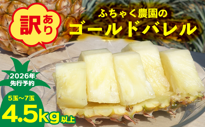 【2026年先行予約】【訳あり】ふちゃく農園のゴールドバレル4.5kg以上 パイン パイナップル パインアップル 高級パイン 沖縄県産パイン フルーツ 南国フルーツ トロピカルフルーツ 高級フルーツ 果物 くだもの 果実 デザート 甘い 人気 プチギフト 産地直送 国産 沖縄 名護市