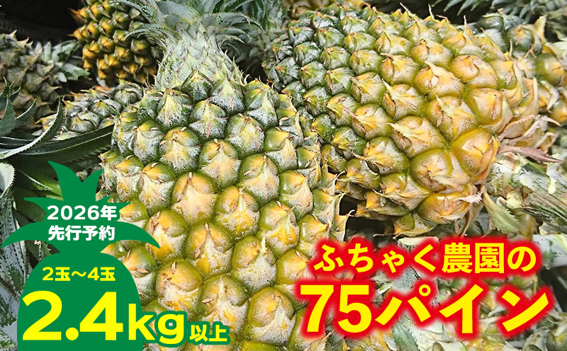 【2026年先行予約】ふちゃく農園の75パイン2.4kg以上 パイン パイナップル パインアップル スナックパイン 沖縄県産パイン フルーツ 南国フルーツ トロピカルフルーツ 沖縄フルーツ 果物 くだもの 果実 デザート 甘い 人気 プチギフト 産地直送 国産 沖縄 名護市