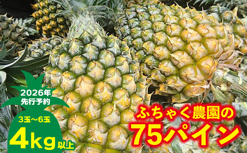【2026年先行予約】ふちゃく農園の75パイン4kg以上 パイン パイナップル パインアップル スナックパイン 沖縄県産パイン フルーツ 南国フルーツ トロピカルフルーツ 沖縄フルーツ 果物 くだもの 果実 デザート 甘い 人気 プチギフト 産地直送 国産 沖縄 名護市