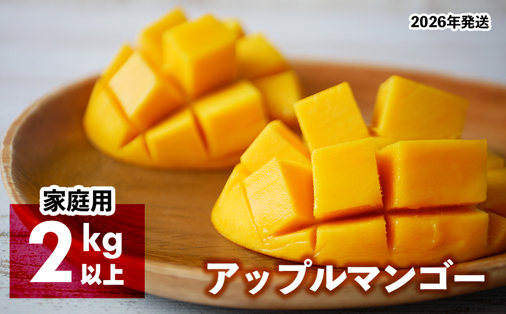 2026年発送　アップルマンゴー（家庭用）2kg以上【羽地の駅】 2026年 果物 沖縄 特産品 旬 マンゴー 家庭用 フルーツ 先行予約 夏 お取り寄せ 甘い おすすめ デザート おいしい 数量限定 期間限定 人気 令和8年 厳選