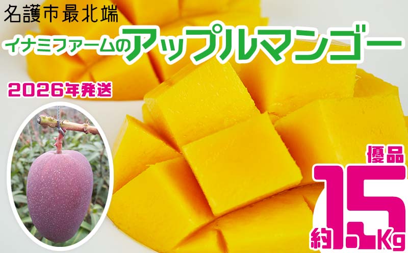 【2026年発送】名護市最北端イナミファームの　優品　アップルマンゴー 約1.5kg フルーツ 果物 期間限定 数量限定 マンゴー 南国 プレゼント お土産 おみやげ ギフト くだもの 季節 おきなわ 青果 デザート おすすめ 人気 冷蔵 夏 スイーツ