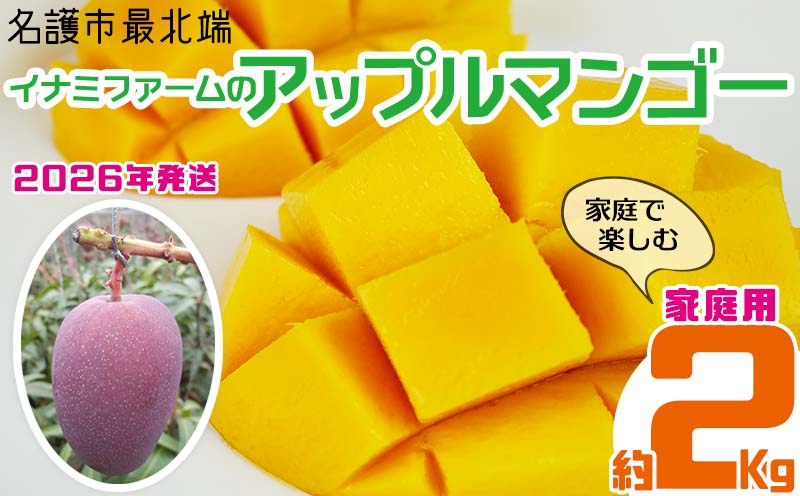【2026年発送】名護市最北端イナミファームの家庭で楽しむアップルマンゴー 約2kg フルーツ 果物 期間限定 数量限定 マンゴー 南国 プレゼント お土産 おみやげ ギフト くだもの 沖縄 おきなわ 青果 デザート 冷蔵 おすすめ 人気 夏 スイーツ