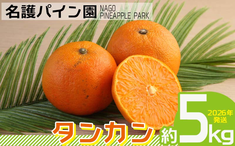 2026年発送【名護パイン園】　タンカン約5kg 先行予約 フルーツ 青果 期間限定 年末 数量限定 みかん 柑橘 沖縄 おきなわ 果実 ギフト 贈り物 子供 デザート 取り寄せ 旬 人気 おすすめ 贈答 プレゼント