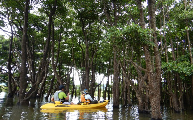 ゆったりと自然を満喫！屋我地島マングローブカヤック体験（大人2名様）