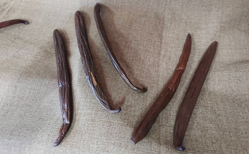 名護市で育てたバニラビーンズ（3本）【沖縄華如拉珈琲】