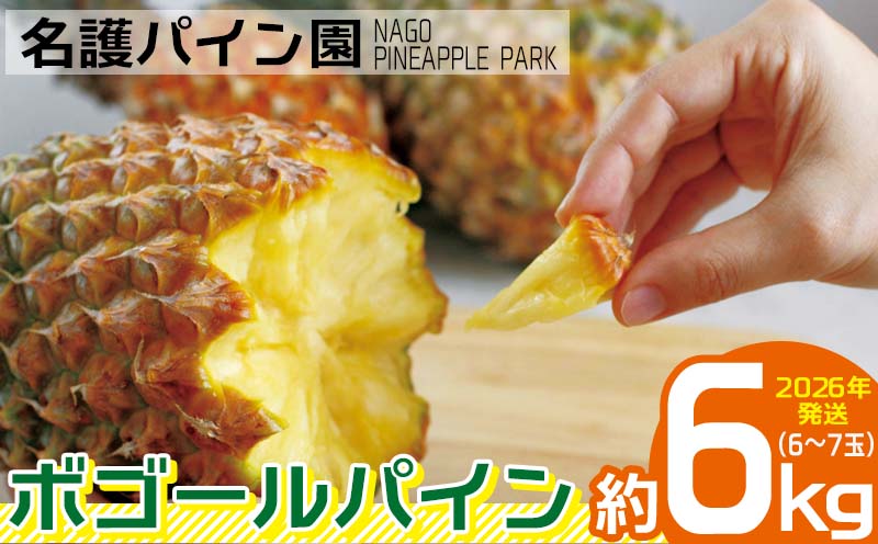 2026年発送【名護パイン園】　ボゴールパイン約6kg（6～7玉） 先行予約 パイナップル 甘い ジューシー デザート 取り寄せ 高級フルーツ 家族 子供 果物 旬 おすすめ ギフト 人気 家庭用 贈答用 母の日 ゴールドバレル 期間限定 年末 沖縄