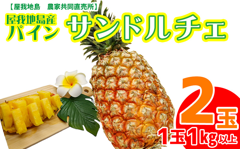 センダンα ～毎日の笑顔を支える健康飲料～500ml（50ml×10本入） 健康 飲料 飲み物 ドリンク ビタミン エキス 飲みやすい 健康志向 植物  植物エキス 沖縄 おきなわ エリスリトール 低カロリー お取り寄せ 送料無料 ふるさと納税 名護市 やんばる センダン: 名護市ANAの ...