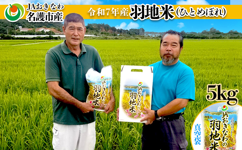 令和7年産　羽地米(ひとめぼれ)　5kg 名護 米 こめ おこめ 国産 沖縄 食品 おにぎり おいしい 独特 お取り寄せ 真空袋 食べ物 美味しい 自然 ご当地 県産 南国 なご 旨味