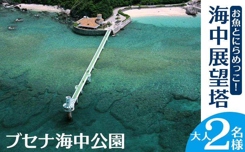 お魚とにらめっこ！海中展望塔　大人2名様【ブセナ海中公園】