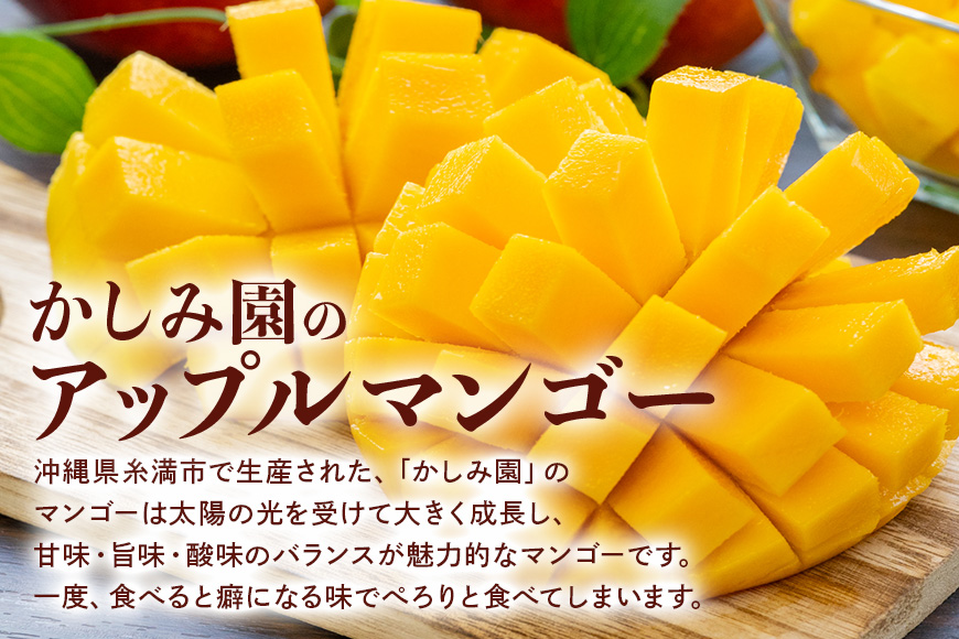 【2026年発送】優秀賞受賞のかしみ園アップルマンゴー2kg 18-4