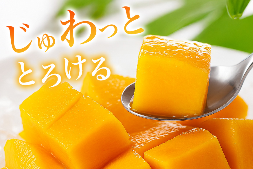 【2026年発送】かねよしマンゴーの甘くとろけるマンゴー2kg（家庭用） 93-2