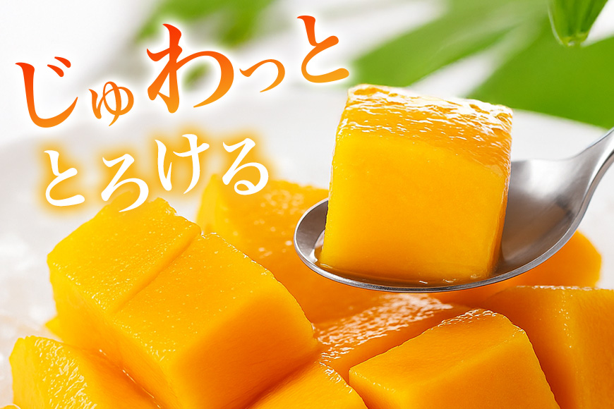 【2026年発送】訳あり！沖縄県糸満産　かねよしマンゴーのアーウィンマンゴー1.5kg 93-7