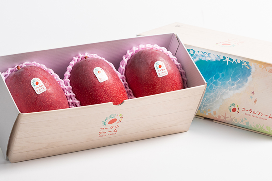 【2026年発送】コーラルファーム（優品1kg）アップルマンゴー（2～3玉）