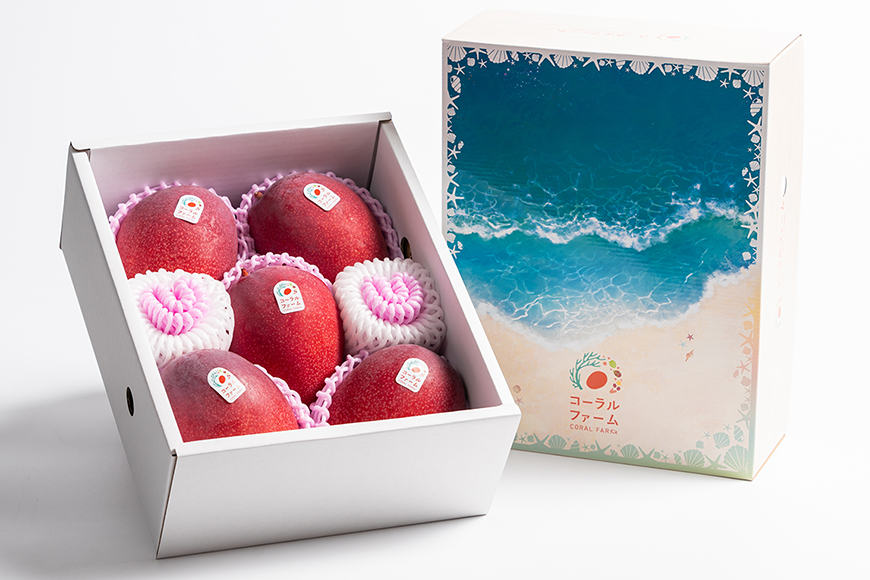 【2026年発送】コーラルファーム（秀品2kg）アップルマンゴー（4～6玉）